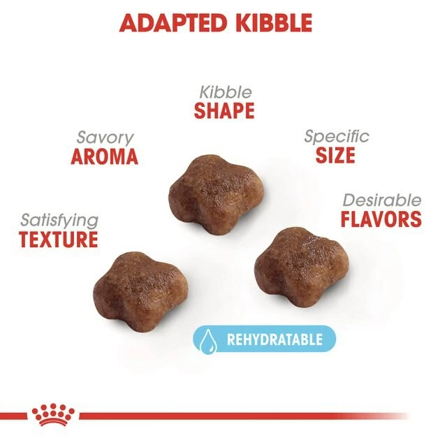 Wholesale โค๏ธ Royal Canin ๐ฉ Mother & Babycat Dry Cat Food for Newborn Kittens, Pregnant & Nursing Cats ๐ - Image 3