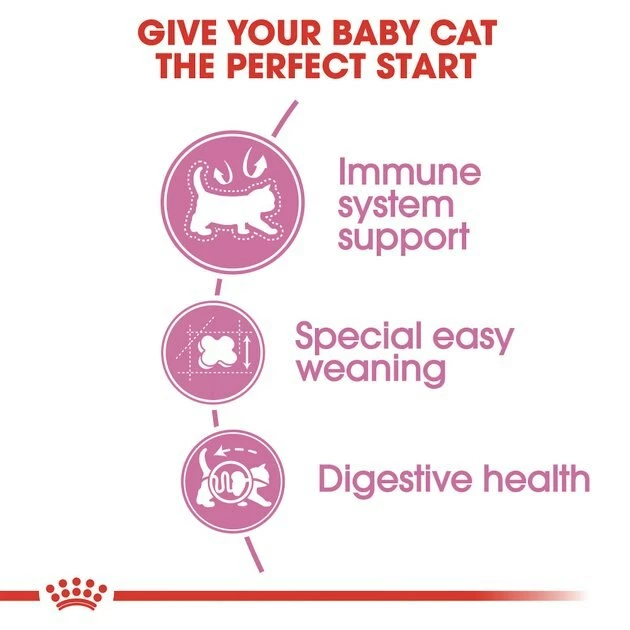 Wholesale โค๏ธ Royal Canin ๐ฉ Mother & Babycat Dry Cat Food for Newborn Kittens, Pregnant & Nursing Cats ๐ - Image 5