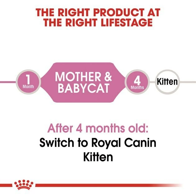 Wholesale โค๏ธ Royal Canin ๐ฉ Mother & Babycat Dry Cat Food for Newborn Kittens, Pregnant & Nursing Cats ๐ - Image 6