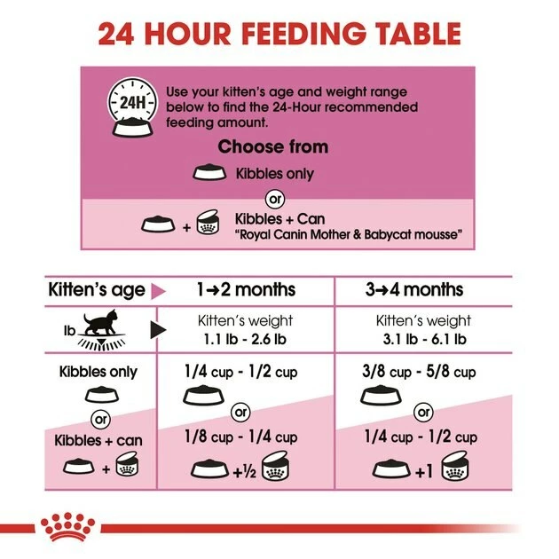 Wholesale โค๏ธ Royal Canin ๐ฉ Mother & Babycat Dry Cat Food for Newborn Kittens, Pregnant & Nursing Cats ๐ - Image 7