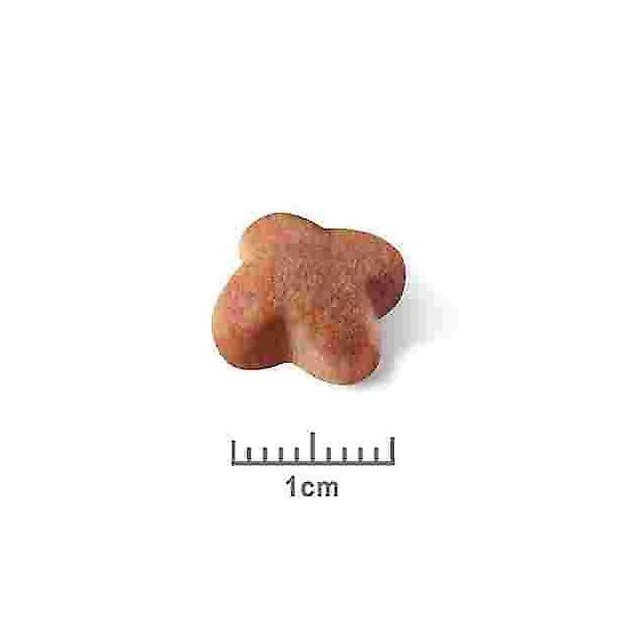 Discount โจ Royal Canin Breed Health Nutrition Jack Russell Terrier Adult Dry ๐ฆฎ Dog Food ๐ - Image 6