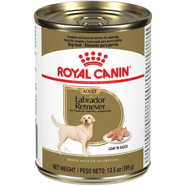 Flash Sale โญ Royal Canin Breed Health Nutrition Labrador Retriever Adult Loaf in Sauce Canned ๐ถ Dog Food ๐งจ