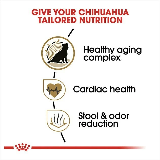 New ๐งจ Royal Canin Breed Health Nutrition Chihuahua Adult 8+ Dry ๐ถ Dog Food ๐คฉ - Image 4