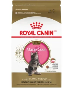 Buy ⌛ Royal Canin Maine Coon Kitten Dry Cat Food ⌛