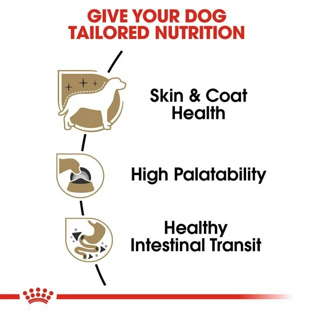 Flash Sale โจ Royal Canin Breed Health Nutrition Yorkshire Terrier Adult Loaf in Gravy Pouch ๐ถ Dog Food, 3-oz pouch, case of 12 ๐ - Image 3