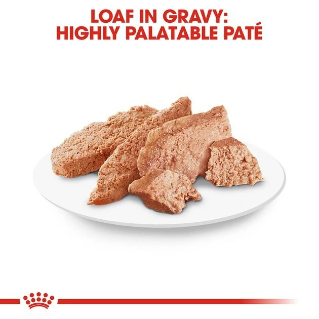 Flash Sale โจ Royal Canin Breed Health Nutrition Yorkshire Terrier Adult Loaf in Gravy Pouch ๐ถ Dog Food, 3-oz pouch, case of 12 ๐ - Image 6