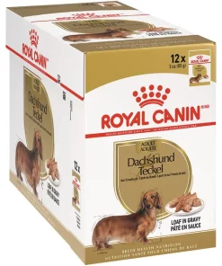 Flash Sale 🎉 Royal Canin Breed Health Nutrition Dachshund Adult Loaf In Gravy Pouch 🐕 Dog Food ✨