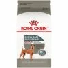 Cheapest ✔️ Royal Canin Canine Care Nutrition Medium Dental Care Dry 🐶 Dog Food 🔔