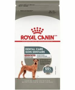 Cheapest ✔️ Royal Canin Canine Care Nutrition Medium Dental Care Dry 🐶 Dog Food 🔔