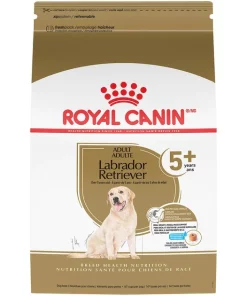 Budget 🌟 Royal Canin Breed Health Nutrition Labrador Retriever Adult 5+ Dry 🦮 Dog Food 🔥