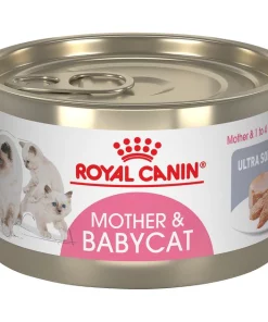 Budget 🥰 Royal Canin 👩 Mother & Babycat Ultra-Soft Mousse in Sauce Wet Cat Food for New Kittens & Nursing or Pregnant 👩 Mother Cats 🔥