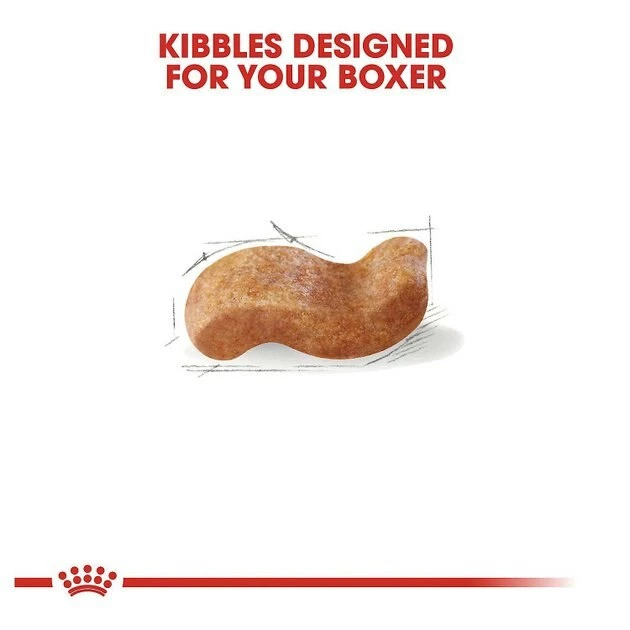 Best reviews of ๐คฉ Royal Canin Boxer Adult Dry Food + Boxer Loaf in Sauce Canned ๐ Dog Food ๐ฏ - Image 4