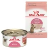 Cheapest ⌛ Royal Canin Feline Health Nutrition Dry Food + Feline Health Nutrition Thin Slices in Gravy Wet Kitten Food 🧨