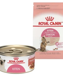Cheapest ⌛ Royal Canin Feline Health Nutrition Dry Food + Feline Health Nutrition Thin Slices in Gravy Wet Kitten Food 🧨
