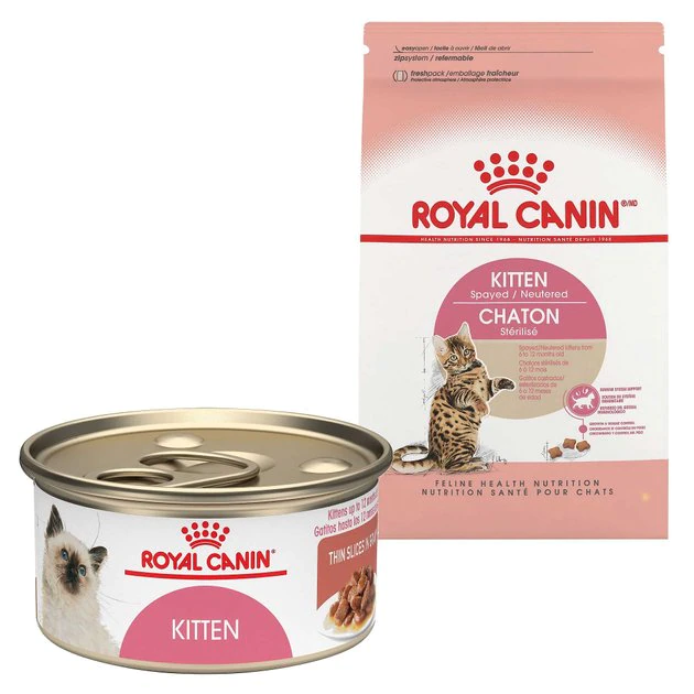 Cheapest β Royal Canin Feline Health Nutrition Dry Food + Feline Health Nutrition Thin Slices in Gravy Wet Kitten Food π§¨