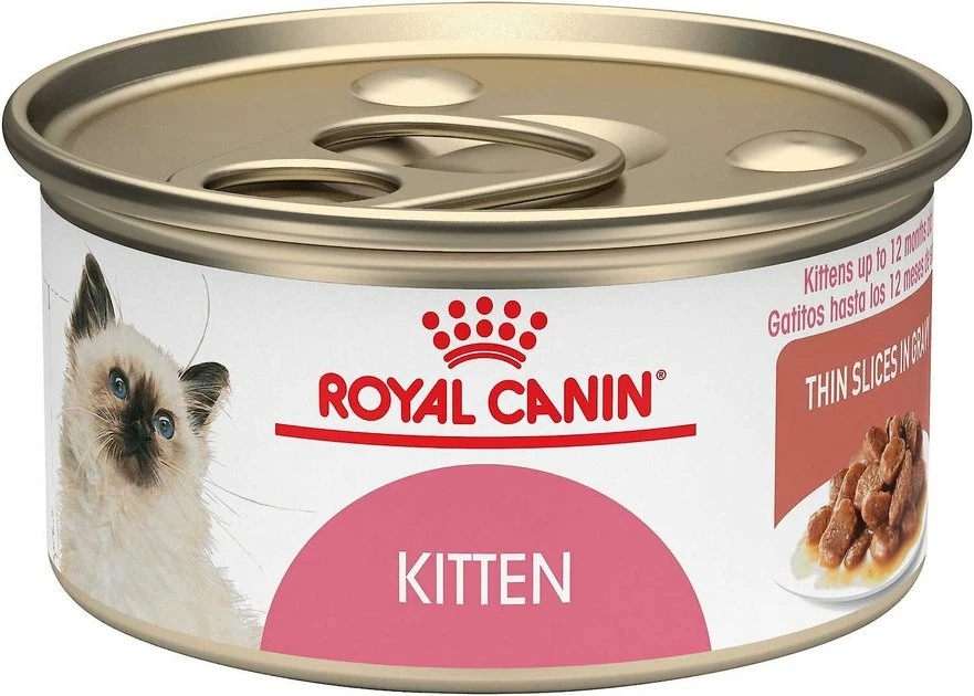 Cheapest β Royal Canin Feline Health Nutrition Dry Food + Feline Health Nutrition Thin Slices in Gravy Wet Kitten Food 𧨠- Image 2