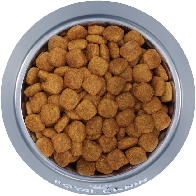 Best reviews of โจ Royal Canin Breed Health Nutrition Miniature Schnauzer Adult Dry ๐ Dog Food ๐คฉ - Image 3