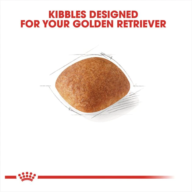 Budget ๐คฉ Royal Canin Breed Health Nutrition Golden Retriever Adult Dry ๐ฆฎ Dog Food ๐คฉ - Image 3