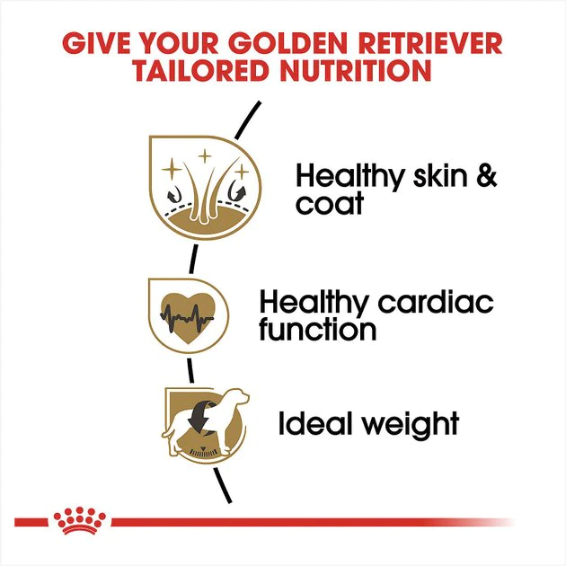 Budget ๐คฉ Royal Canin Breed Health Nutrition Golden Retriever Adult Dry ๐ฆฎ Dog Food ๐คฉ - Image 4