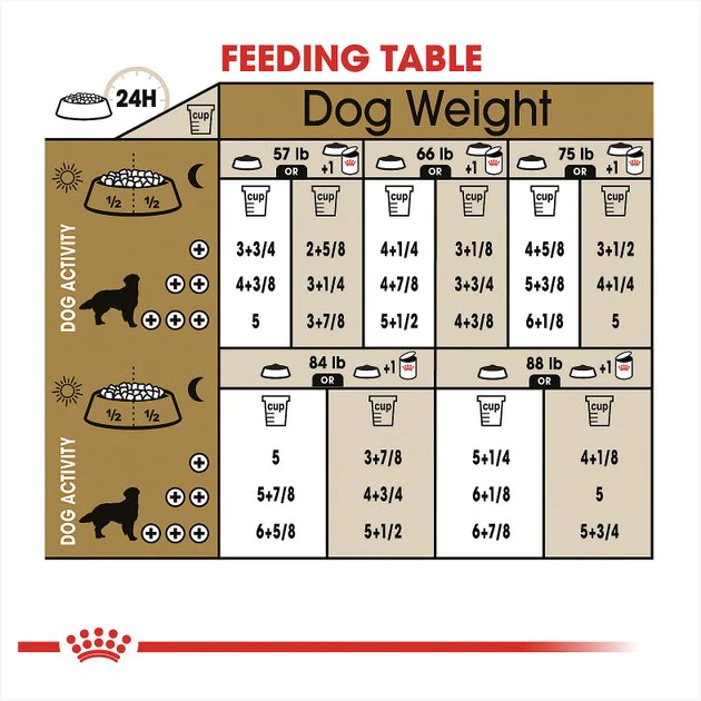 Budget ๐คฉ Royal Canin Breed Health Nutrition Golden Retriever Adult Dry ๐ฆฎ Dog Food ๐คฉ - Image 7
