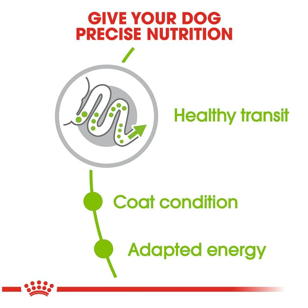 Best reviews of ๐ Royal Canin Size Health Nutrition X-Small Adult Dry ๐ Dog Food ๐ฏ - Image 4