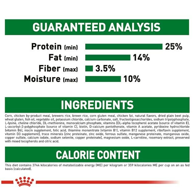 Top 10 ๐ Royal Canin Size Health Nutrition Small Adult 8+ Dry ๐ฆฎ Dog Food ๐ - Image 6