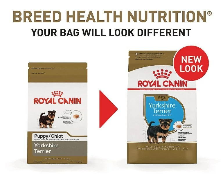 Deals ๐ฏ Royal Canin Breed Health Nutrition Yorkshire Terrier Puppy Dry ๐ถ Dog Food ๐ - Image 2