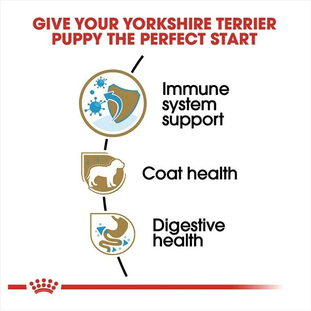 Deals ๐ฏ Royal Canin Breed Health Nutrition Yorkshire Terrier Puppy Dry ๐ถ Dog Food ๐ - Image 5