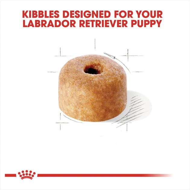 Outlet 🎉 Royal Canin Breed Health Nutrition Labrador Retriever Puppy Dry 🦮 Dog Food ❤️ - Image 3
