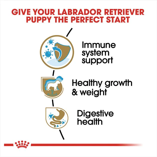 Outlet 🎉 Royal Canin Breed Health Nutrition Labrador Retriever Puppy Dry 🦮 Dog Food ❤️ - Image 4