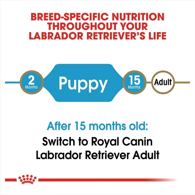 Outlet 🎉 Royal Canin Breed Health Nutrition Labrador Retriever Puppy Dry 🦮 Dog Food ❤️ - Image 5