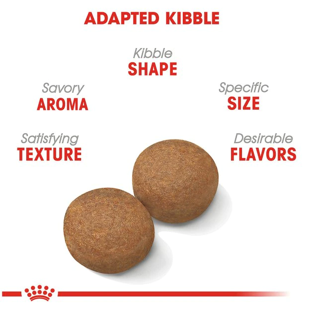 Discount ๐ Royal Canin Canine Care Nutrition Large Weight Care Adult Dry ๐ถ Dog Food ๐ - Image 3