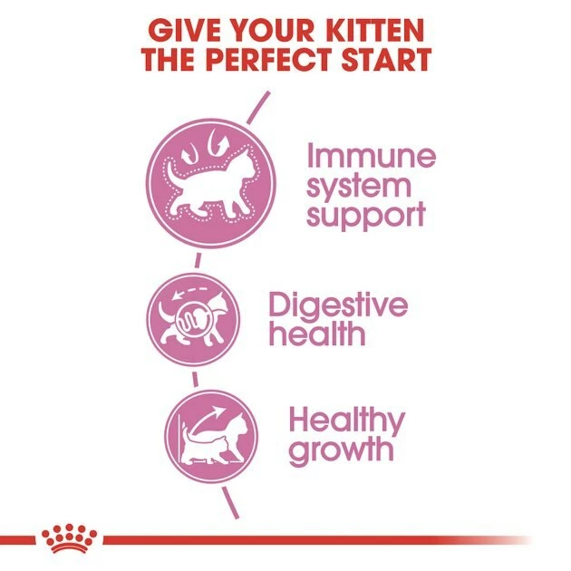 Coupon ⭐ Royal Canin Feline Health Nutrition Dry Cat Food for Young Kittens ✨ - Image 5