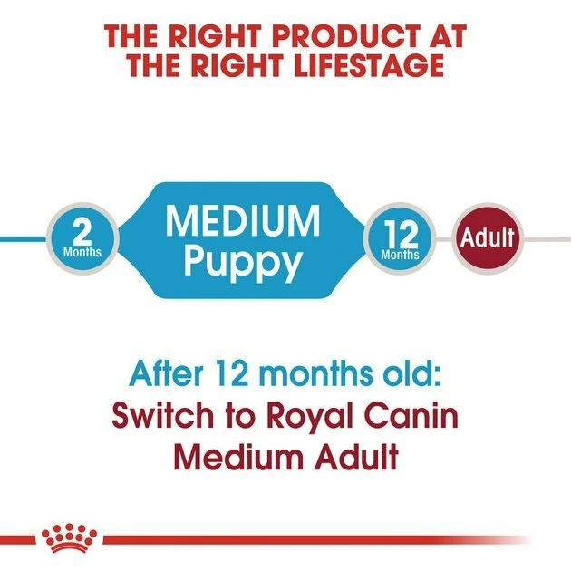 Buy ๐ Royal Canin Medium Puppy Dry ๐ฆฎ Dog Food โ๏ธ - Image 6