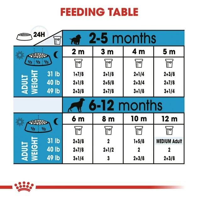 Buy ๐ Royal Canin Medium Puppy Dry ๐ฆฎ Dog Food โ๏ธ - Image 7