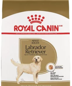 Best reviews of ✨ Royal Canin Breed Health Nutrition Labrador Retriever Adult Dry 🐶 Dog Food ⭐