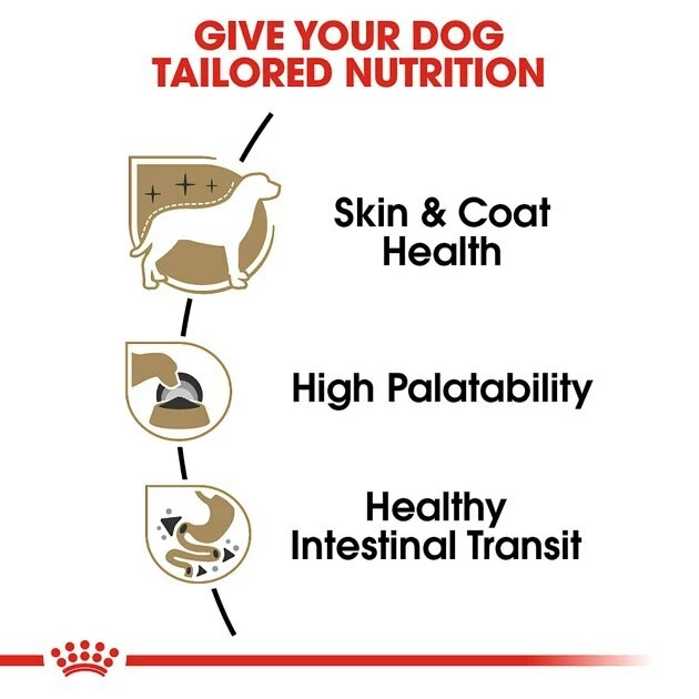 Wholesale ๐ Royal Canin Breed Health Nutrition Chihuahua Adult Loaf In Sauce ๐ฆฎ Dog Food ๐ - Image 3