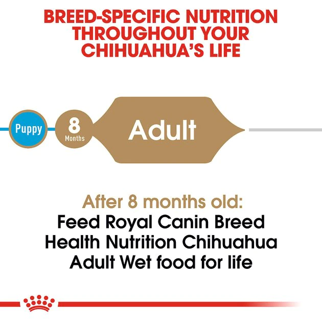 Wholesale ๐ Royal Canin Breed Health Nutrition Chihuahua Adult Loaf In Sauce ๐ฆฎ Dog Food ๐ - Image 4